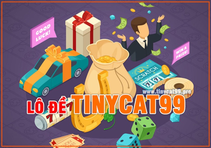 Nhà cái Tinycat99 lừa đảo? Có nên chơi lô đề online tại Tinycat99 hay không?